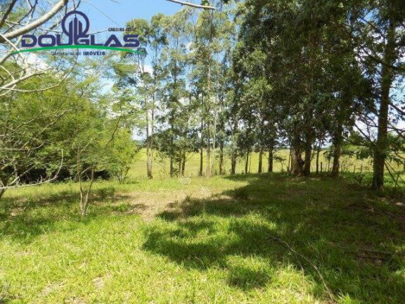 Imagem Chácara com 2 Quartos à Venda, 190.000 m² em Viamão Imagem Chácara com 2 Quartos à Venda, 190.000 m² em Viamão