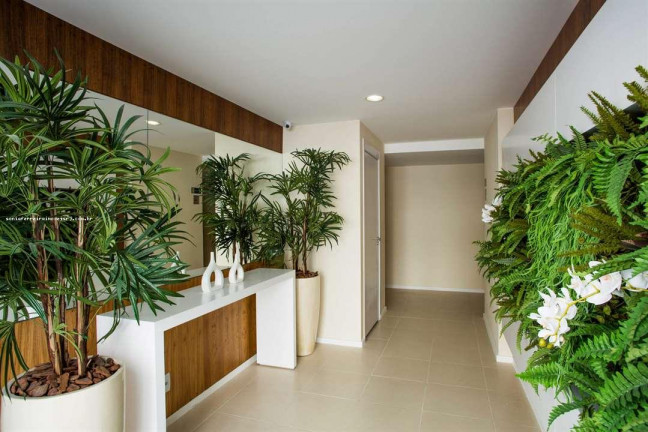 Imagem Apartamento com 2 Quartos à Venda, 58 m² em Jacarepaguá - Rio De Janeiro Imagem Apartamento com 2 Quartos à Venda, 58 m² em Jacarepaguá - Rio De Janeiro
