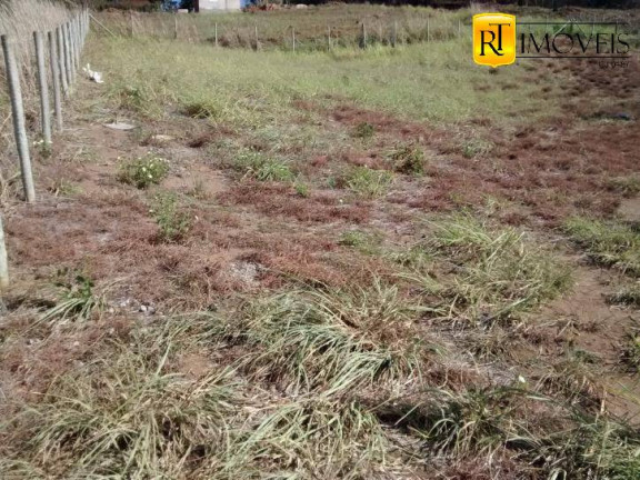 Imagem Terreno à Venda, 1.016 m² em Ponta Da Areia - São Pedro Da Aldeia Imagem Terreno à Venda, 1.016 m² em Ponta Da Areia - São Pedro Da Aldeia