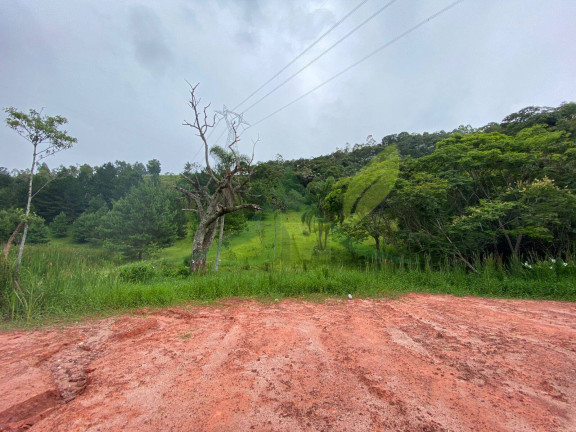 Imagem Terreno à Venda, 72.600 m² em Peão - Piracaia Imagem Terreno à Venda, 72.600 m² em Peão - Piracaia
