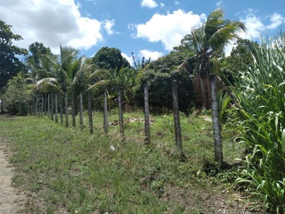 Imagem Terreno à Venda, 2.800 m² em Rural - Paudalho Imagem Terreno à Venda, 2.800 m² em Rural - Paudalho