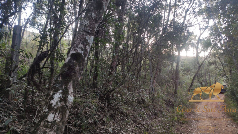 Terreno à Venda, 906 m² em Vila Chantal - Campos Do Jordão