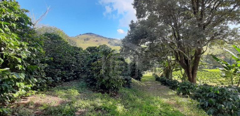 Imagem Imóvel à Venda, 3 m² em Milho Verde - Bandeira Do Sul