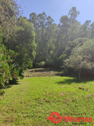 Imagem Chácara com 3 Quartos à Venda, 70.000 m² em Vale Do Lobo - Feliz