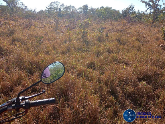 Imagem Fazenda à Venda, 38 m² em Zona Rural - Perolândia Imagem Fazenda à Venda, 38 m² em Zona Rural - Perolândia