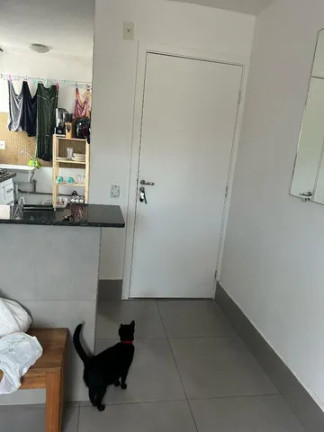Imagem Apartamento com 2 Quartos à Venda, 45 m² em Jardim Petrópolis - Cotia Imagem Apartamento com 2 Quartos à Venda, 45 m² em Jardim Petrópolis - Cotia