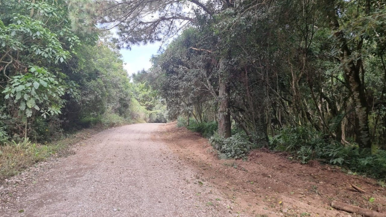 Imagem Chácara à Venda, 9.000 m² em São Luiz Do Purunã - Balsa Nova Imagem Chácara à Venda, 9.000 m² em São Luiz Do Purunã - Balsa Nova