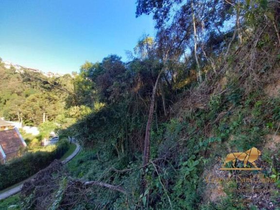 Imagem Terreno à Venda, 729 m² em V Britânia - Campos Do Jordão Imagem Terreno à Venda, 729 m² em V Britânia - Campos Do Jordão