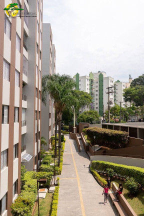 Imagem Apartamento com 2 Quartos à Venda,  em Vila Amelia - São Paulo