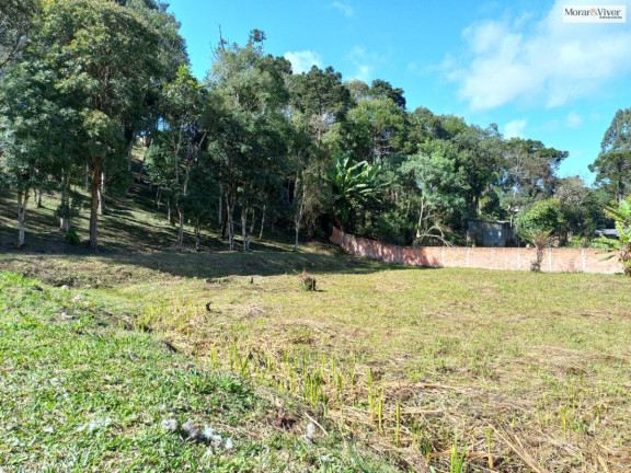 Imagem Chácara à Venda, 8.000 m² em Zona Rural - Quatro Barras Imagem Chácara à Venda, 8.000 m² em Zona Rural - Quatro Barras