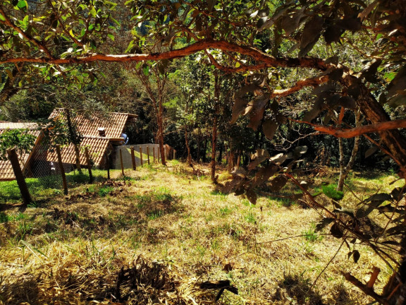 Imagem Terreno à Venda, 1.500 m² em Centro - Santo Antônio Do Pinhal Imagem Terreno à Venda, 1.500 m² em Centro - Santo Antônio Do Pinhal