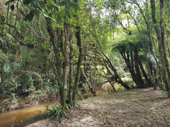 Imagem Casa com 2 Quartos à Venda, 150 m² em Paraibuna - Cunha Imagem Casa com 2 Quartos à Venda, 150 m² em Paraibuna - Cunha