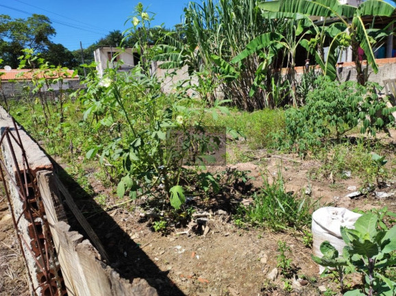 Imagem Terreno à Venda, 261 m² em Jardim Santo Antonio - Tomazina Imagem Terreno à Venda, 261 m² em Jardim Santo Antonio - Tomazina