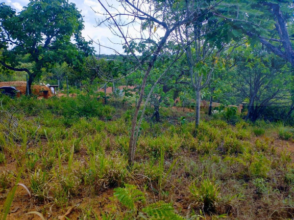 Imagem Terreno à Venda,  em Atalaia - Mateus Leme