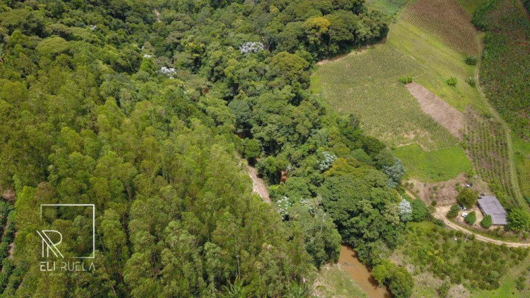 Imagem Chácara com 3 Quartos à Venda, 30.000 m² em Boa Esperança - Marechal Floriano