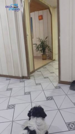 Imagem Casa com 3 Quartos à Venda, 50 m² em Guarituba - Piraquara Imagem Casa com 3 Quartos à Venda, 50 m² em Guarituba - Piraquara