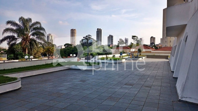 Imagem Apartamento com 3 Quartos à Venda, 80 m² em Vila Maria - São Paulo Imagem Apartamento com 3 Quartos à Venda, 80 m² em Vila Maria - São Paulo