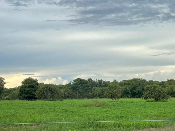 Imagem Fazenda à Venda, 500 m² em Zona Rural - Aliança Do Tocantins