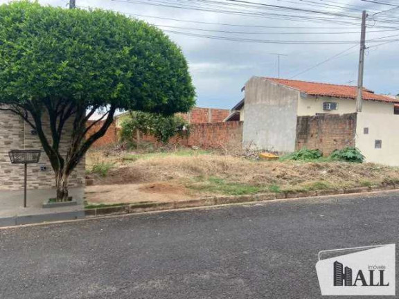 Terreno à Venda, 200 m² em Jardim Nunes - São José Do Rio Preto