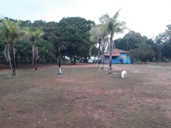Imagem Chácara com 2 Quartos à Venda, 15 m² em água Fria - Chapada Dos Guimarães Imagem Chácara com 2 Quartos à Venda, 15 m² em água Fria - Chapada Dos Guimarães