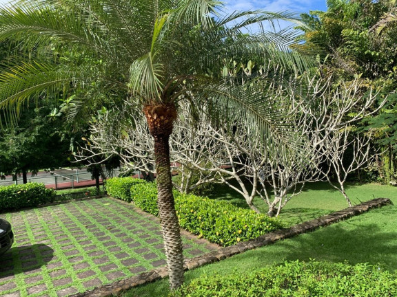 Imagem Casa de Condomínio com 6 Quartos à Venda, 5.000 m² em Centro - Mangaratiba Imagem Casa de Condomínio com 6 Quartos à Venda, 5.000 m² em Centro - Mangaratiba