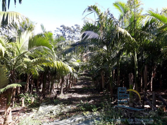Imagem Terreno à Venda, 232.297 m² em Enseada - São Francisco Do Sul