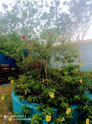Imagem Chácara com 6 Quartos à Venda, 53 m² em Zona Rural - Cambuí