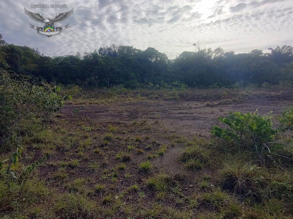 Imagem Fazenda à Venda, em Marapanim Imagem Fazenda à Venda, em Marapanim