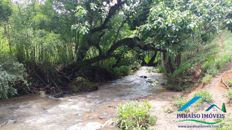 Imagem Chácara à Venda, 7 m² em Centro - Paraisópolis Imagem Chácara à Venda, 7 m² em Centro - Paraisópolis