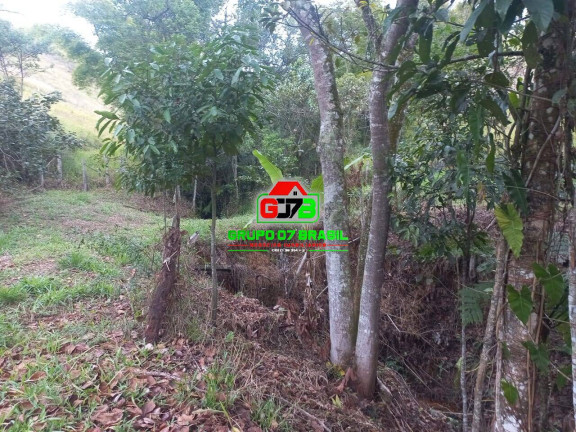 Imagem Chácara com 3 Quartos à Venda, 7.000 m² em área Rural De São José Dos Campos - São José Dos Campos Imagem Chácara com 3 Quartos à Venda, 7.000 m² em área Rural De São José Dos Campos - São José Dos Campos
