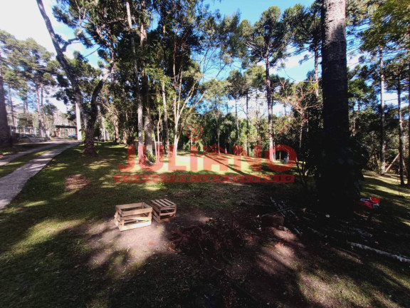 Imagem Chácara com 2 Quartos à Venda, 18.000 m² em Rio Vermelho - São Bento Do Sul Imagem Chácara com 2 Quartos à Venda, 18.000 m² em Rio Vermelho - São Bento Do Sul