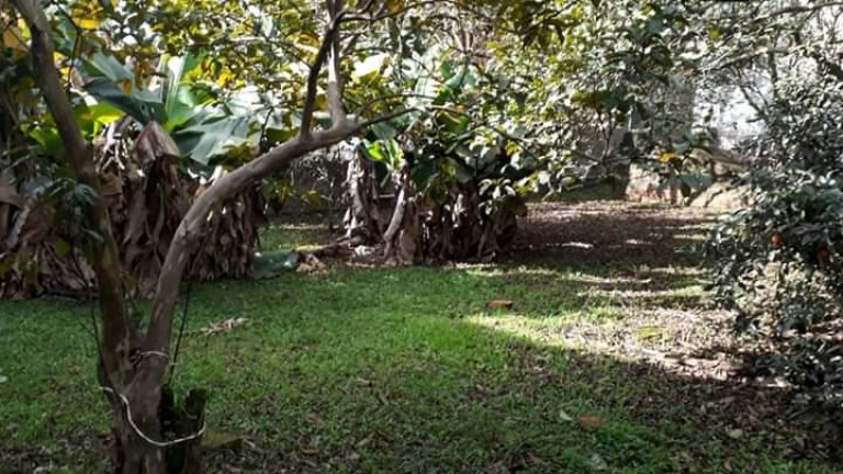 Imagem Terreno à Venda, em Arroio Da Manteiga - São Leopoldo Imagem Terreno à Venda, em Arroio Da Manteiga - São Leopoldo
