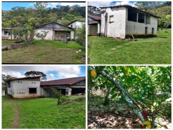 Imagem Fazenda à Venda, 139.000 m² em Jardim Savóia - Ilhéus Imagem Fazenda à Venda, 139.000 m² em Jardim Savóia - Ilhéus