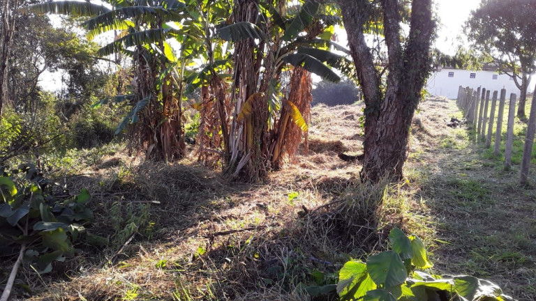 Imagem Terreno à Venda, 700 m² em Centro - Piracaia Imagem Terreno à Venda, 700 m² em Centro - Piracaia