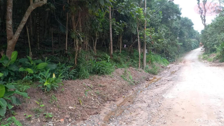 Imagem Terreno à Venda, 3.504 m² em Represa - Ribeirão Pires Imagem Terreno à Venda, 3.504 m² em Represa - Ribeirão Pires
