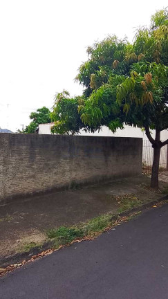 Terreno à Venda, 300 m² em Jardim Carlos Gomes - Pirassununga
