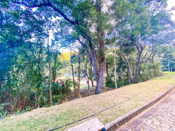 Imagem Terreno à Venda, 322 m² em Vargem Grande - Teresópolis Imagem Terreno à Venda, 322 m² em Vargem Grande - Teresópolis