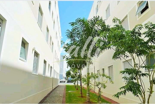 Imagem Apartamento com 2 Quartos à Venda, 44 m² em Jardim Terramérica Iii - Americana Imagem Apartamento com 2 Quartos à Venda, 44 m² em Jardim Terramérica Iii - Americana