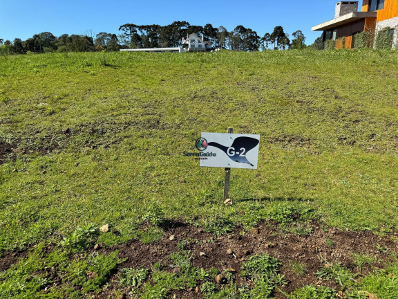 Terreno à Venda, 978 m² em Vale Das Colinas - Gramado