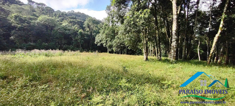 Imagem Chácara à Venda, 81 m² em Centro - Gonçalves