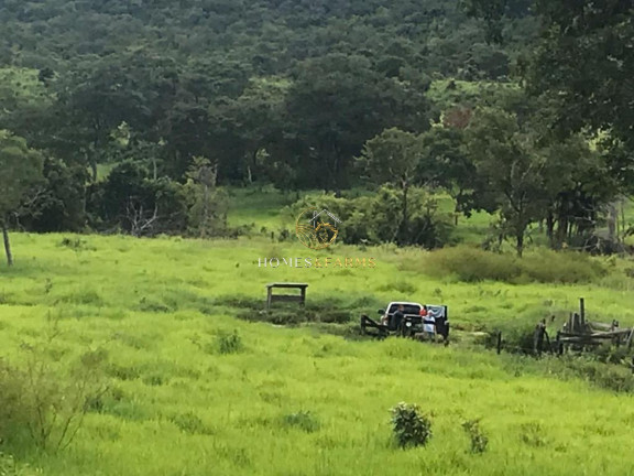 Imagem Imóvel com 3 Quartos à Venda, em Zona Rural - Crixás Imagem Imóvel com 3 Quartos à Venda, em Zona Rural - Crixás