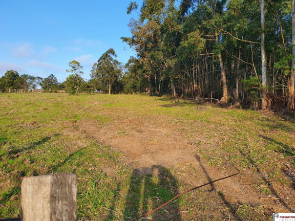 Imagem Imóvel com 3 Quartos à Venda, 120 m² em Zona Rural - Tapes Imagem Imóvel com 3 Quartos à Venda, 120 m² em Zona Rural - Tapes