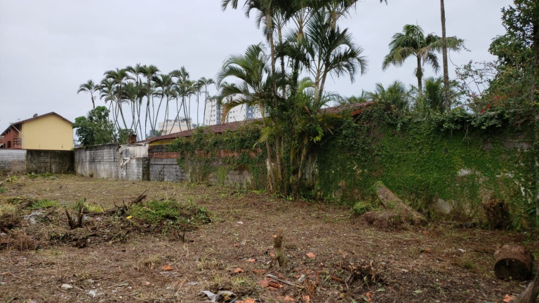Imagem Terreno à Venda, 900 m² em Vera Cruz - Mongaguá