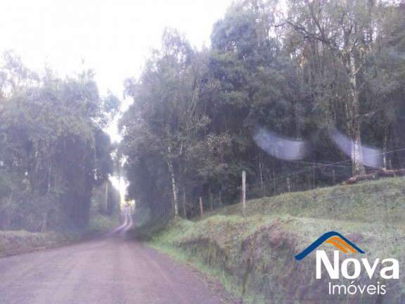 Imagem Imóvel à Venda,  em Canto Akermann - Nova Petrópolis