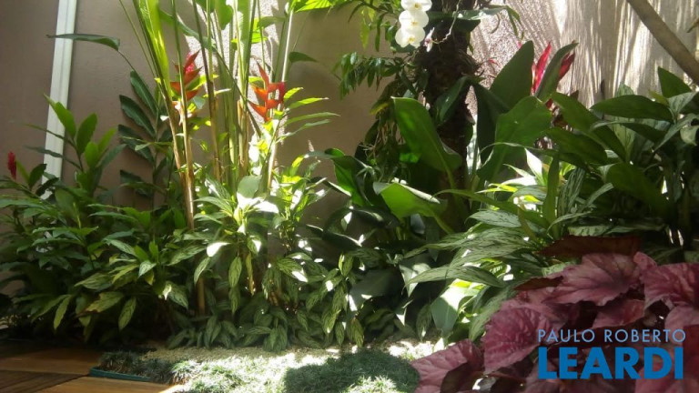 Imagem Casa de Condomínio com 3 Quartos à Venda, 262 m² em Vila Bastos - Santo André