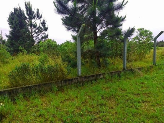 Imagem Terreno à Venda, em Araçatuba - Imbituba Imagem Terreno à Venda, em Araçatuba - Imbituba