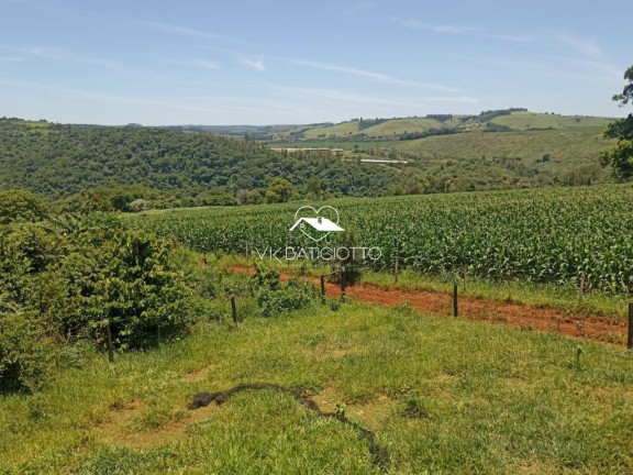 Imagem Chácara à Venda, 9 m² em Mandaguari Imagem Chácara à Venda, 9 m² em Mandaguari