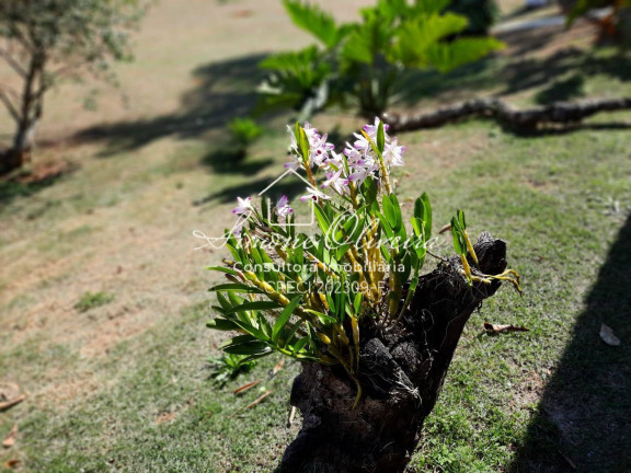 Imagem Terreno à Venda, 10.230 m² em Loteamento Chácaras Ingrid - Taubaté Imagem Terreno à Venda, 10.230 m² em Loteamento Chácaras Ingrid - Taubaté