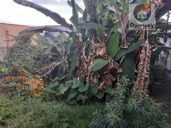 Imagem Terreno à Venda, 142 m² em Vila Izabel - Guarulhos Imagem Terreno à Venda, 142 m² em Vila Izabel - Guarulhos