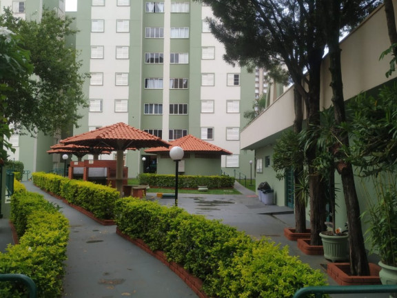 Imagem Apartamento com 3 Quartos à Venda, 70 m² em Jardim Auri Verde - Bauru